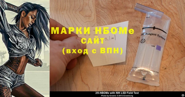 индика Приозерск