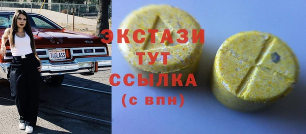 индика Приозерск