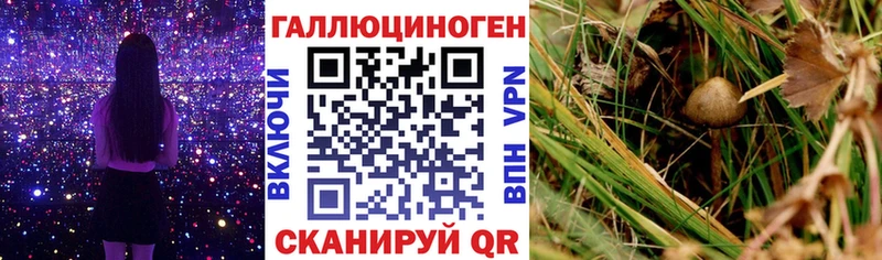 Псилоцибиновые грибы MAGIC MUSHROOMS  хочу   Суровикино 